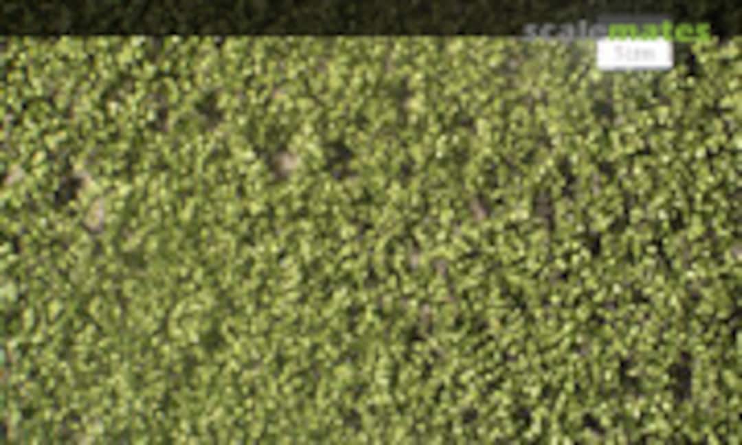 No Birch Leaves Summer (Mininatur 910-32S) 910-32S