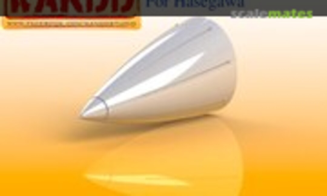 1:48 F-15J/DJ Radome + AOA (WandD Studio R48022) R48022