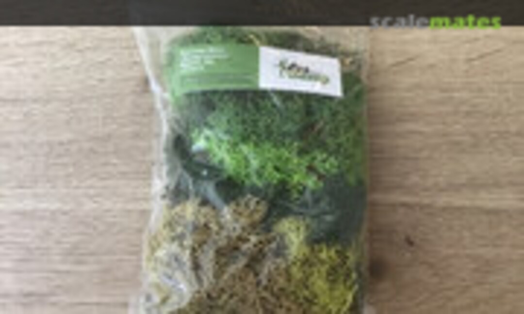 1:35 Reindeer Moss (DioDump DD043-A) DD043-A