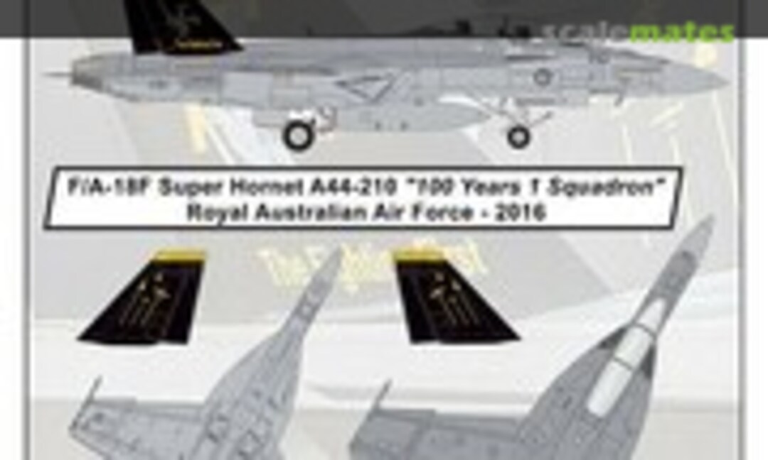 1:48 "100 Years 1 Squadron" (Syhart 48-120) 48-120