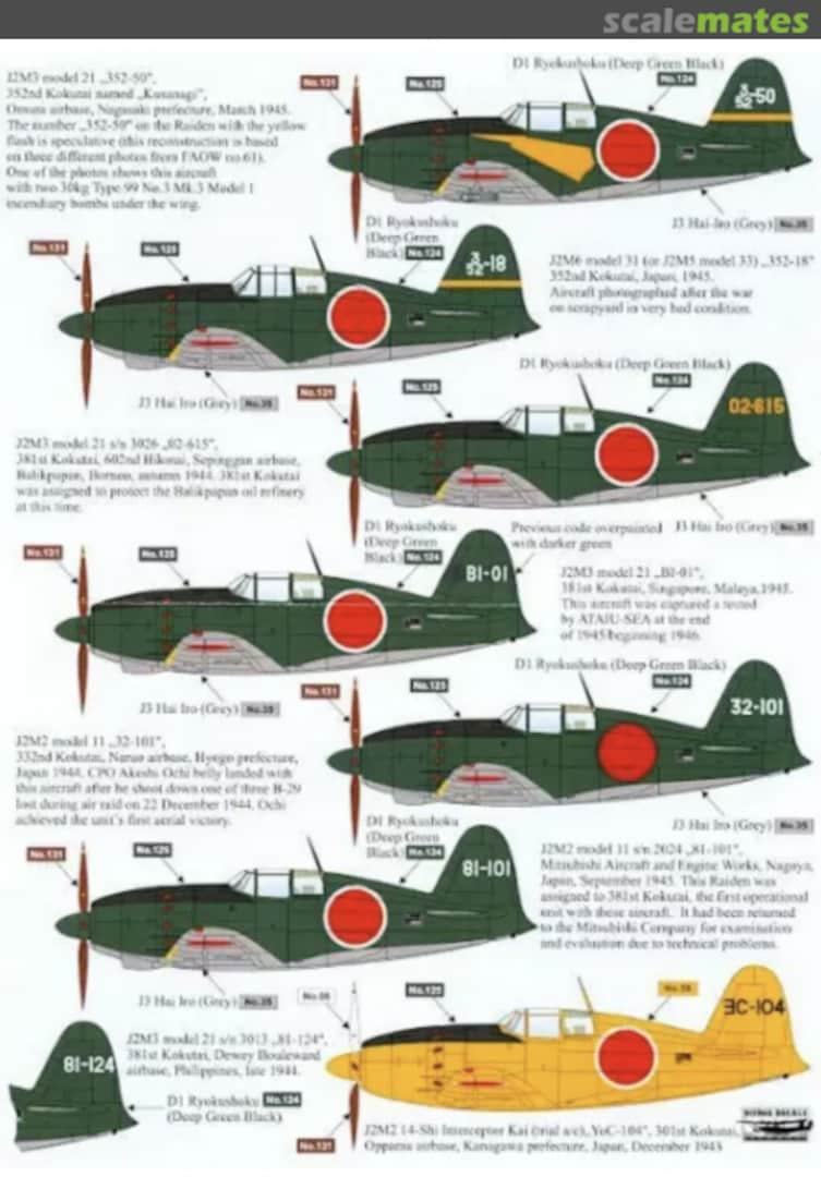 Boxart Raiden RD72099 Rising Decals Boxart Raiden RD72099 Rising Decals