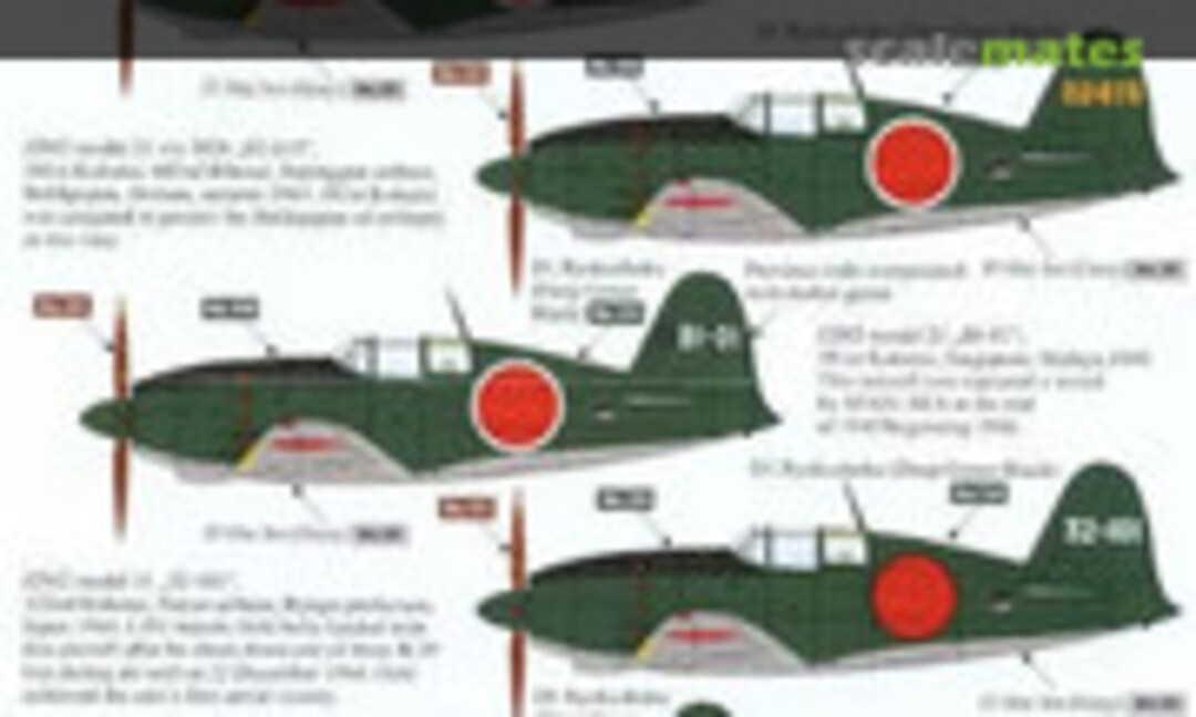 1:72 Raiden (Rising Decals RD72099) RD72099