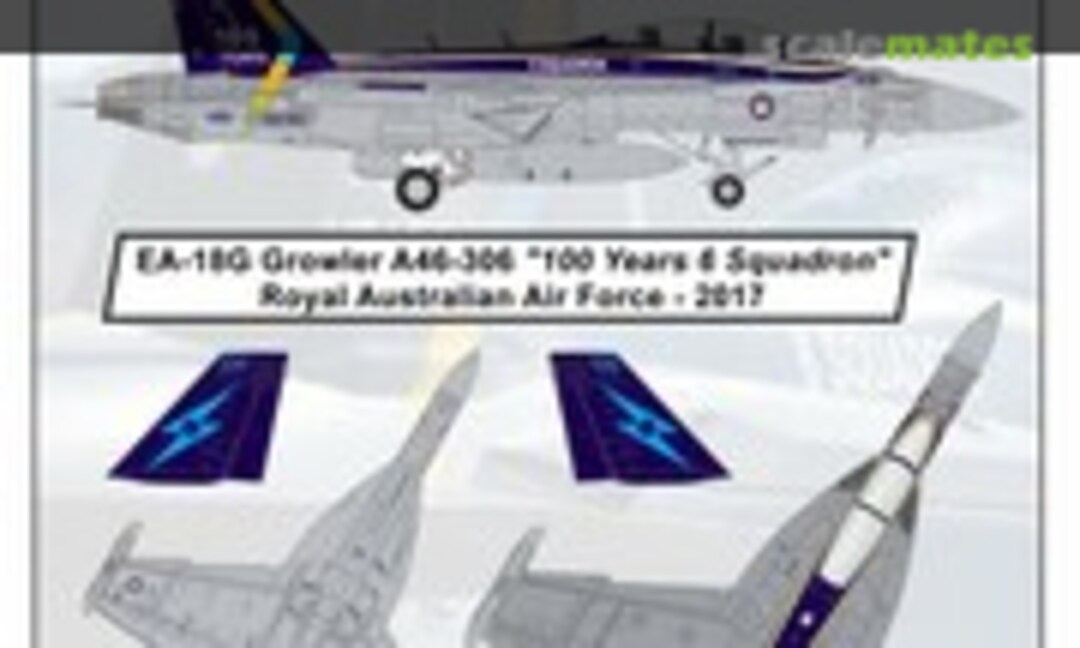 1:48 &quot;100 Years 6 Squadron&quot; (Syhart 48-119)