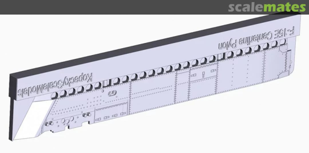 Boxart F-15E Centerline Pylon 48009 Kopecky Scale Models Boxart F-15E Centerline Pylon 48009 Kopecky Scale Models