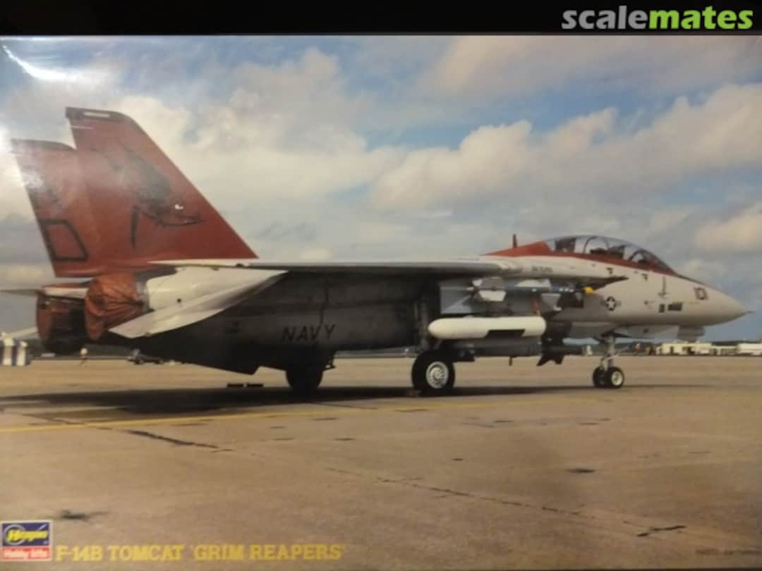 Boxart F-14B Tomcat `Grim Reapers´ 04073 Hasegawa Boxart F-14B Tomcat `Grim Reapers´ 04073 Hasegawa