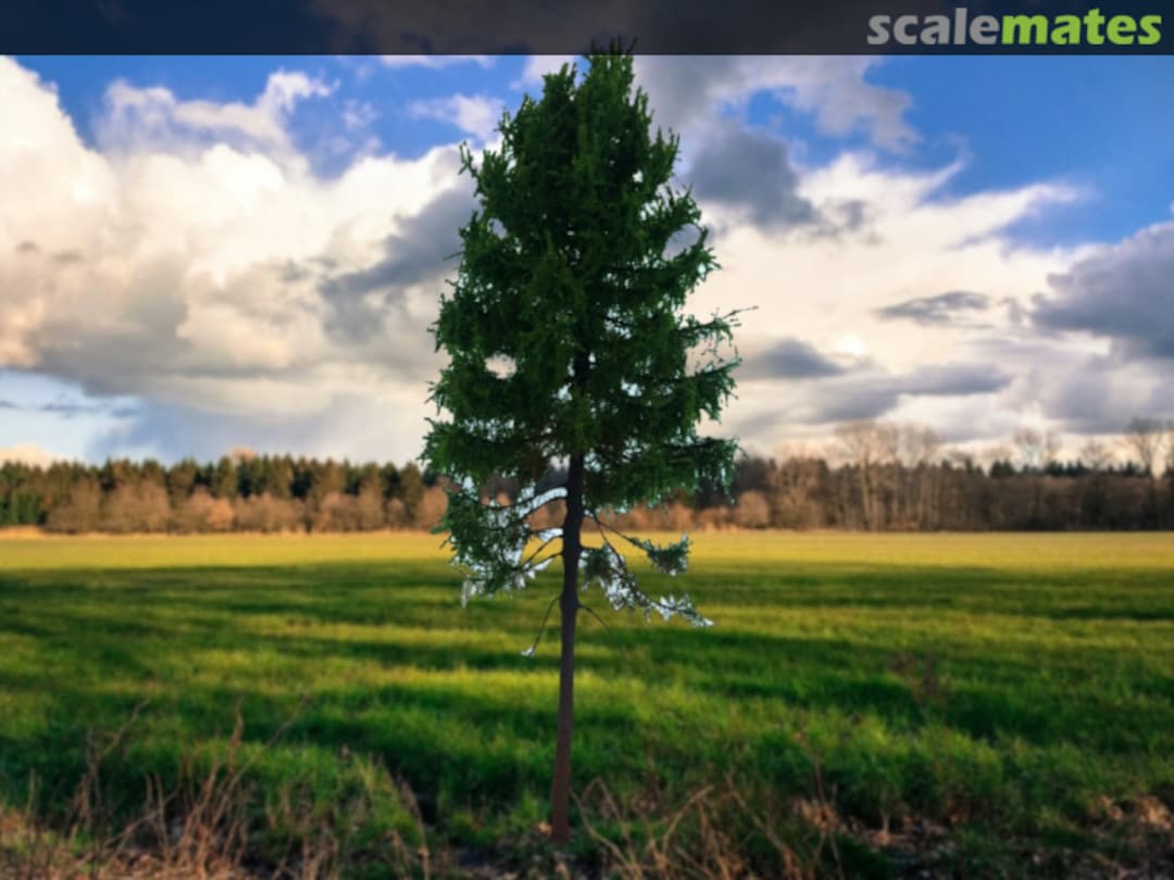 Boxart Larch Tree Tall (Modrzew Pień Wysoki ) MPW1 Freon Boxart Larch Tree Tall (Modrzew Pień Wysoki ) MPW1 Freon