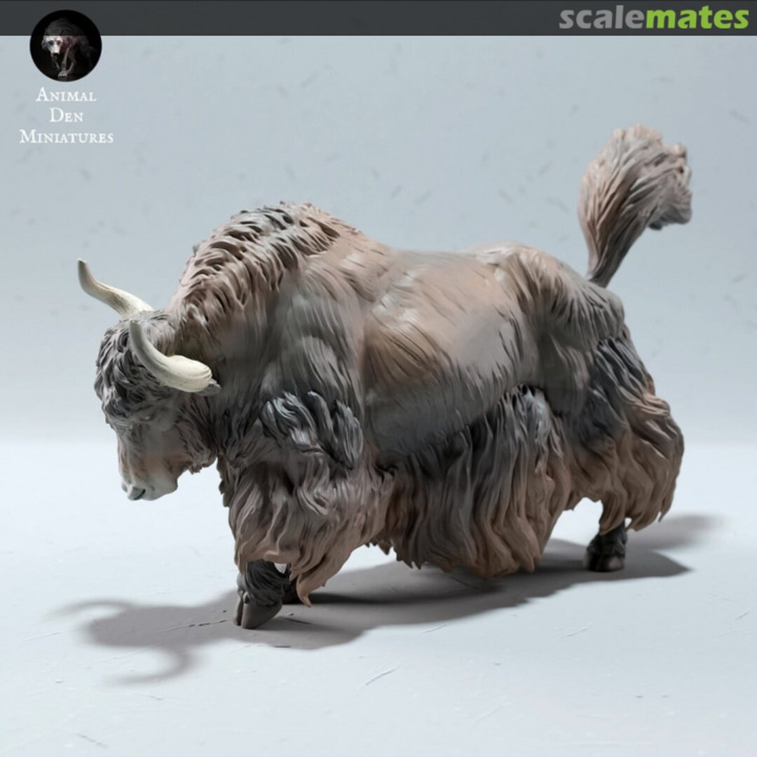 Boxart Himalayan Yak - attacking male 72130603 EMP3d