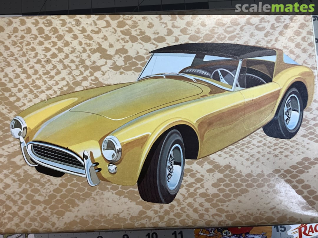 Boxart King Cobra T-313-200 AMT Boxart King Cobra T-313-200 AMT