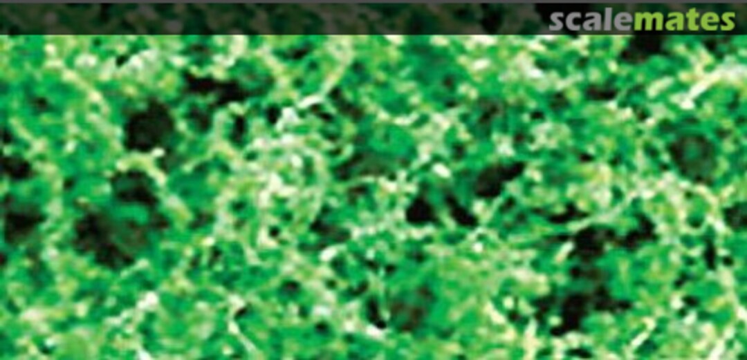 Boxart Medium Green-Medium 95067 JTT Scenery Products Boxart Medium Green-Medium 95067 JTT Scenery Products