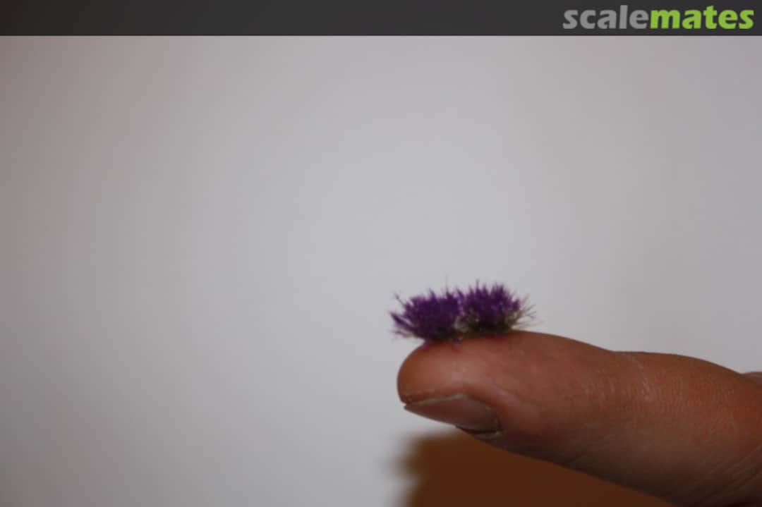 Boxart Lavender for 1/35, 1/48, 1/72, 1/87 scales 151 JoeFix Studio's