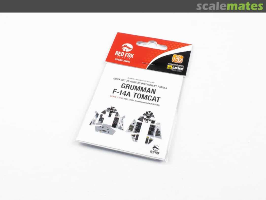 Boxart Grumman F-14A Tomcat RFSQS-32081 Red Fox Studio