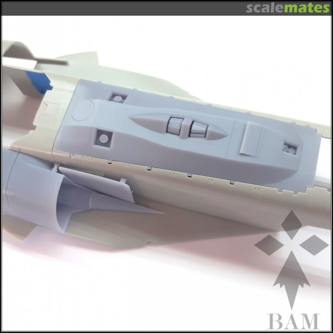 Boxart RF-111C Aardvark - Recce Pack BAM48080 BAM Models