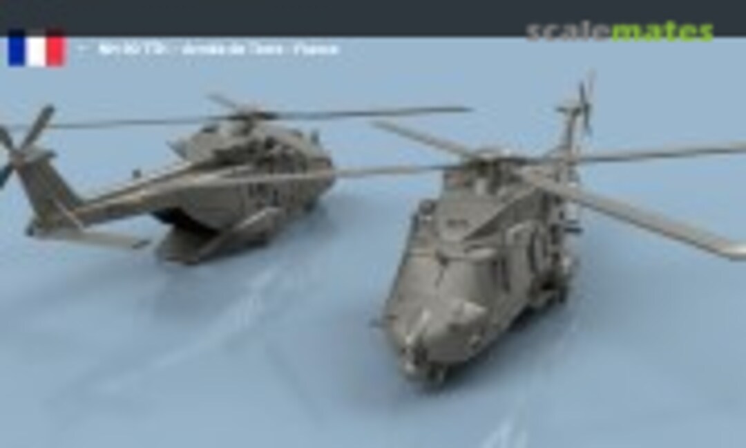 1:400 NH-90 TTH - Armée de Terre - France (L'Arsenal 3D 400 267) 3D 400 267