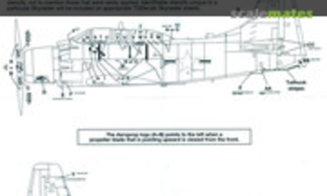 1:48 Douglas AD-5/A-1E Skyraider (Third Group Decals 48-021) 48-021