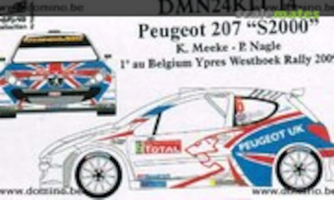 Peugeot 207 S2000 (Domino Collection DMN.24KIT14)