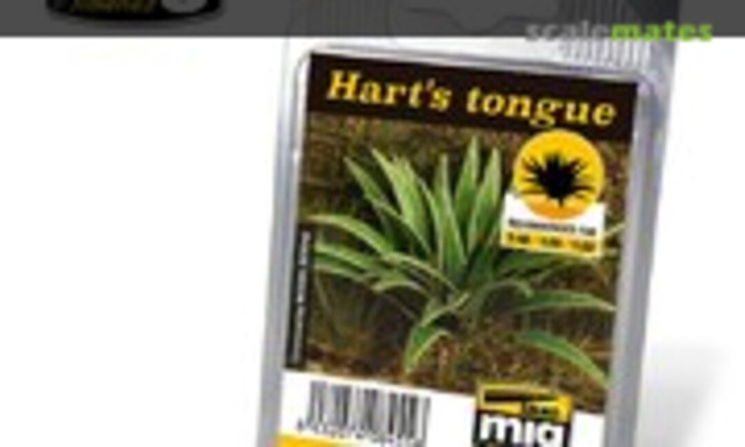 No Hart's tongue (Ammo by Mig Jimenez A.MIG-8455) A.MIG-8455