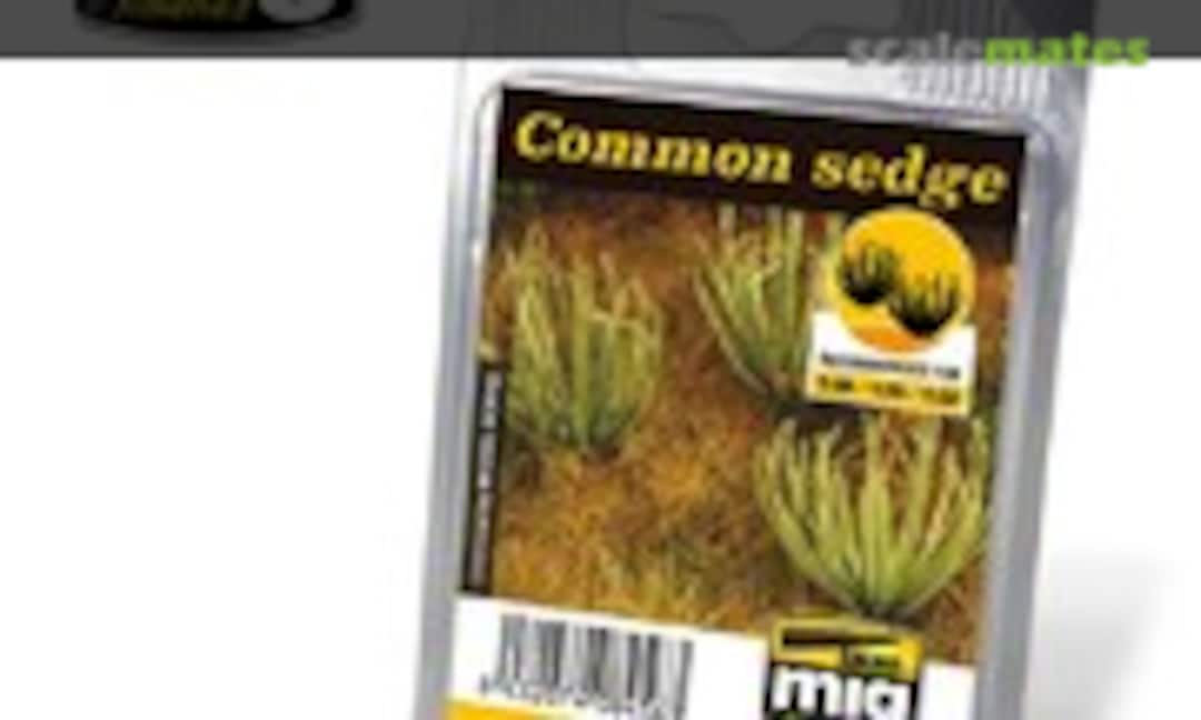 No Common Sedge (Ammo by Mig Jimenez A.MIG-8456) A.MIG-8456