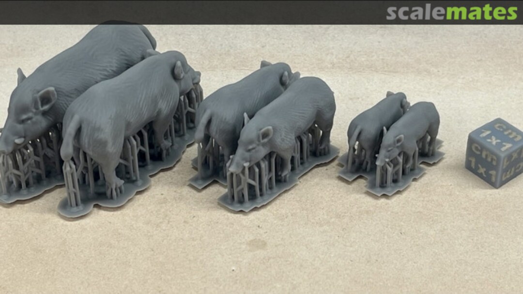 Boxart Wild boars - 2 pieces (smaller / larger) 25130403 EMP3d