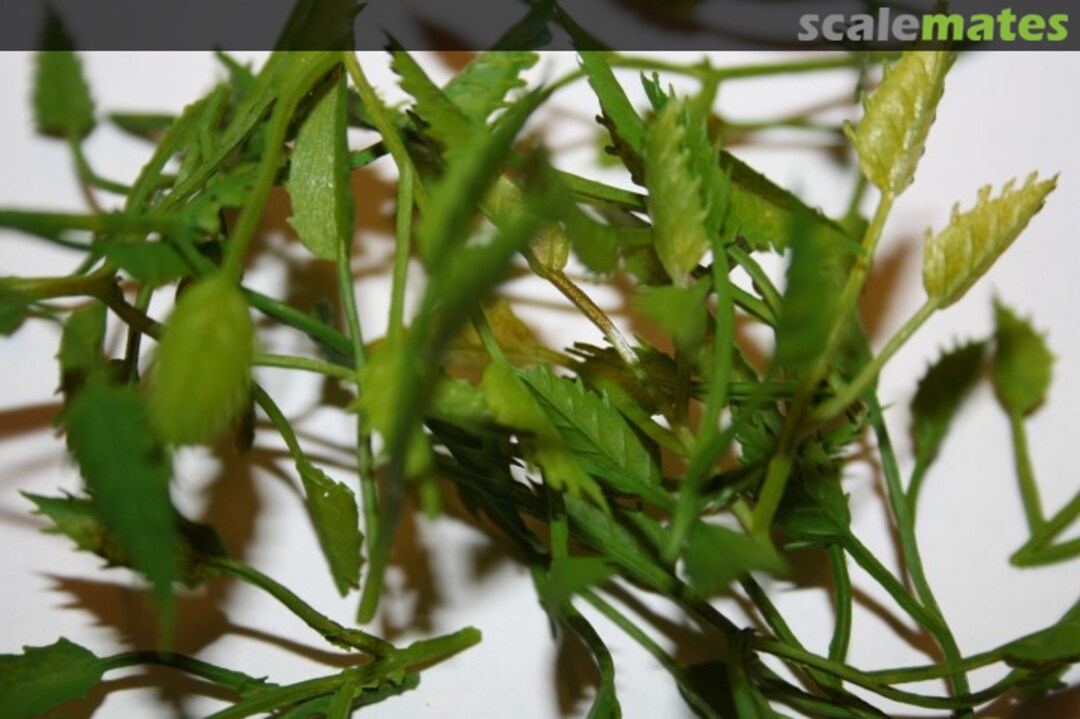 Boxart Nam Bush set XI (Plastic) 214 JoeFix Studio's Boxart Nam Bush set XI (Plastic) 214 JoeFix Studio's