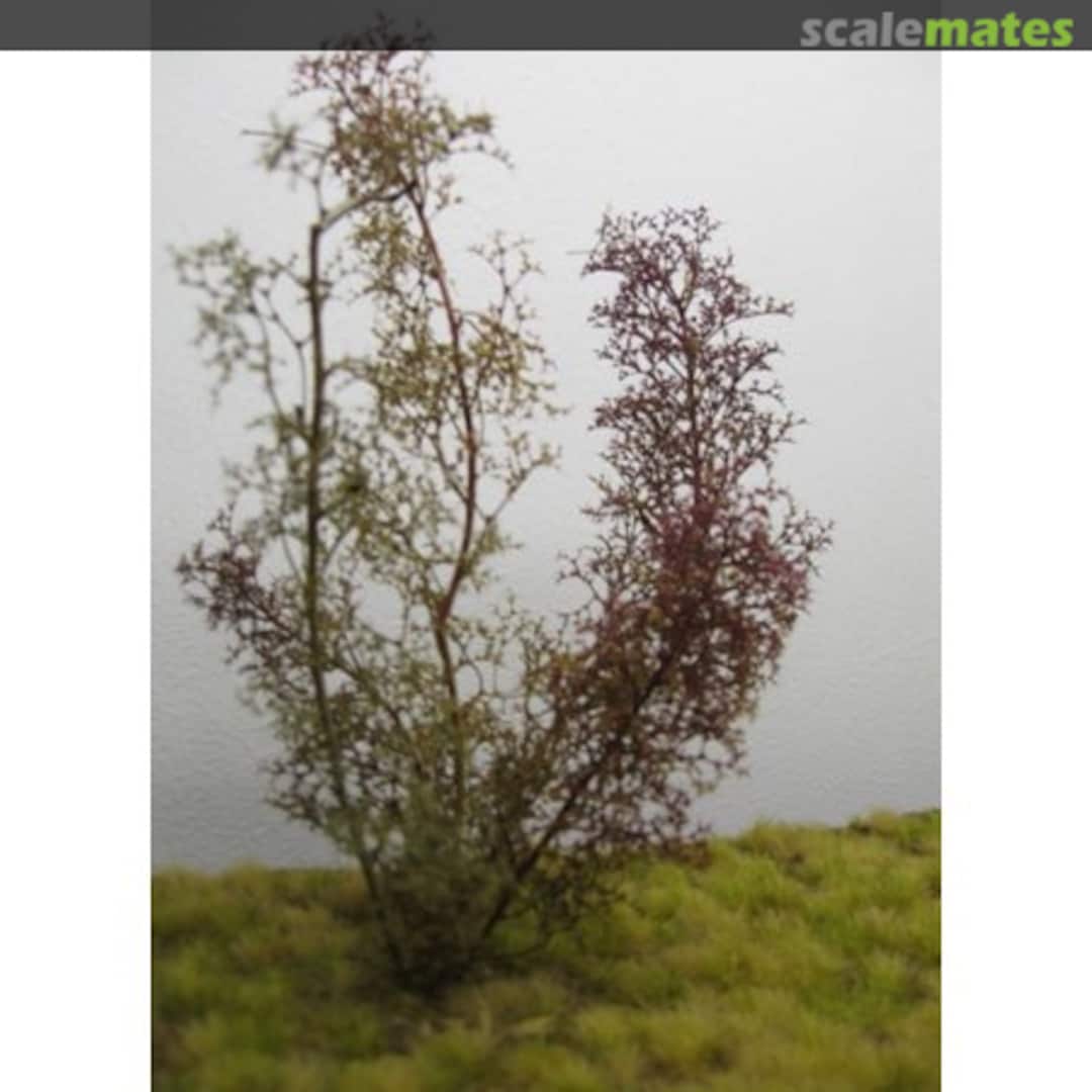 Boxart Natural Trees / Bushes (Sea Foam) - Meerschaum TREE02 Reality in Scale Boxart Natural Trees / Bushes (Sea Foam) - Meerschaum TREE02 Reality in Scale