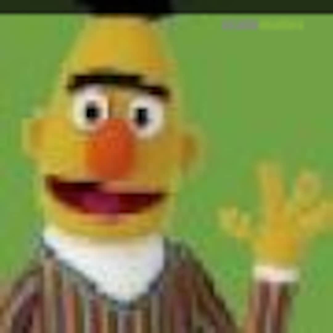 Bert