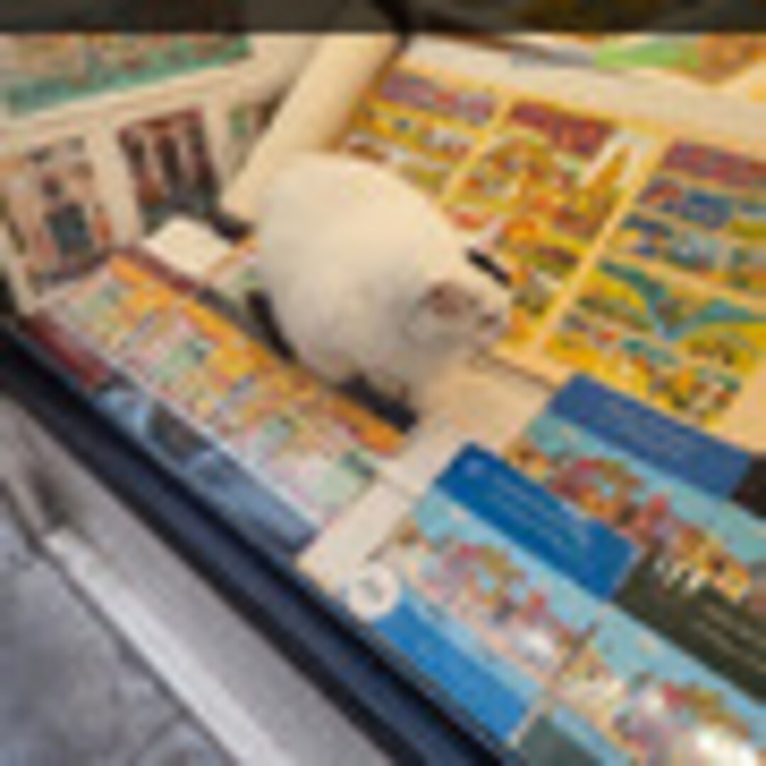 TheFreshPrinzOfSavoy