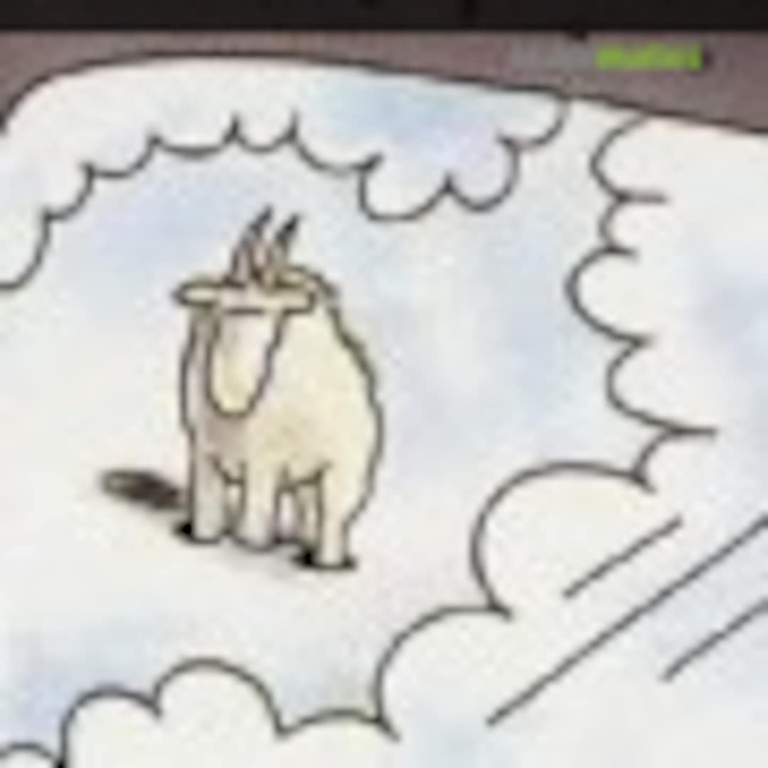 Mountain Goat