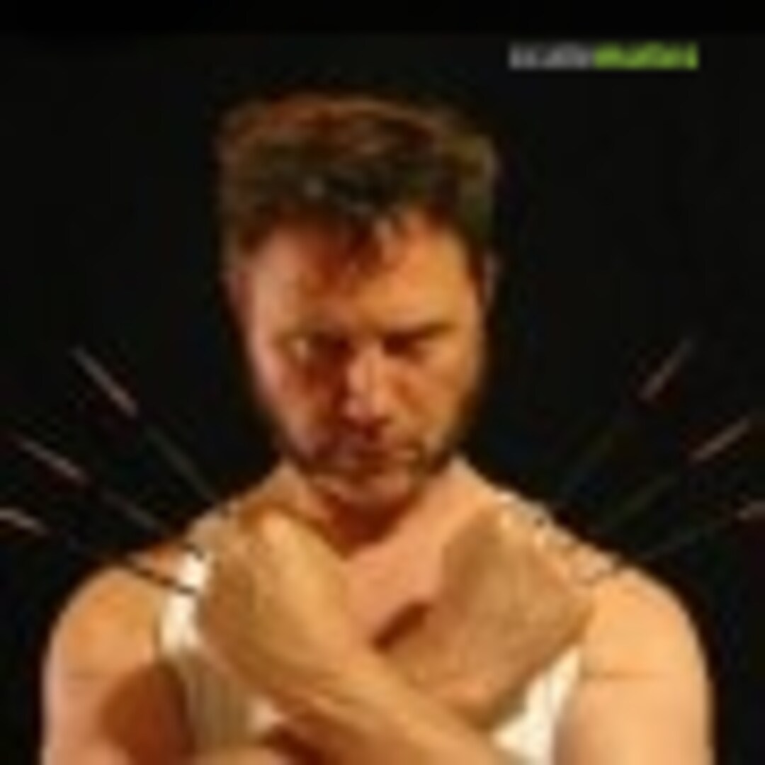 WolverineArt