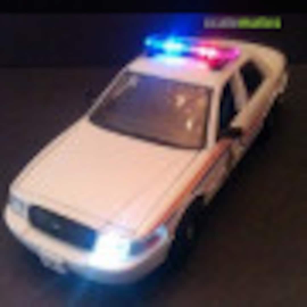 Scale Police