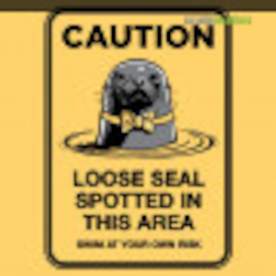 LooseSeal