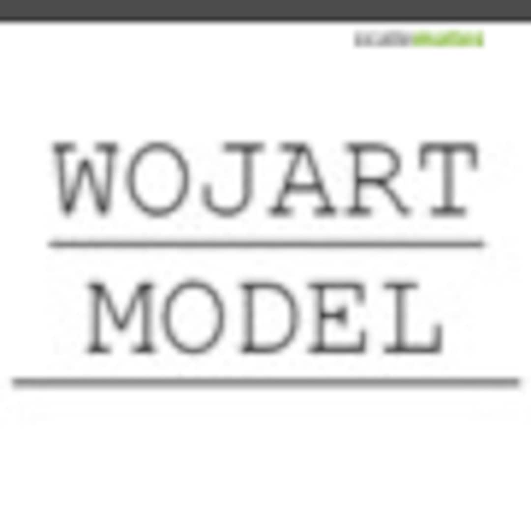 WojArt Model