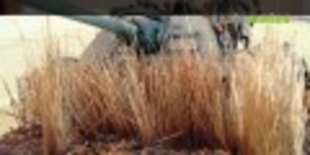 IPMS Prison City Modelers