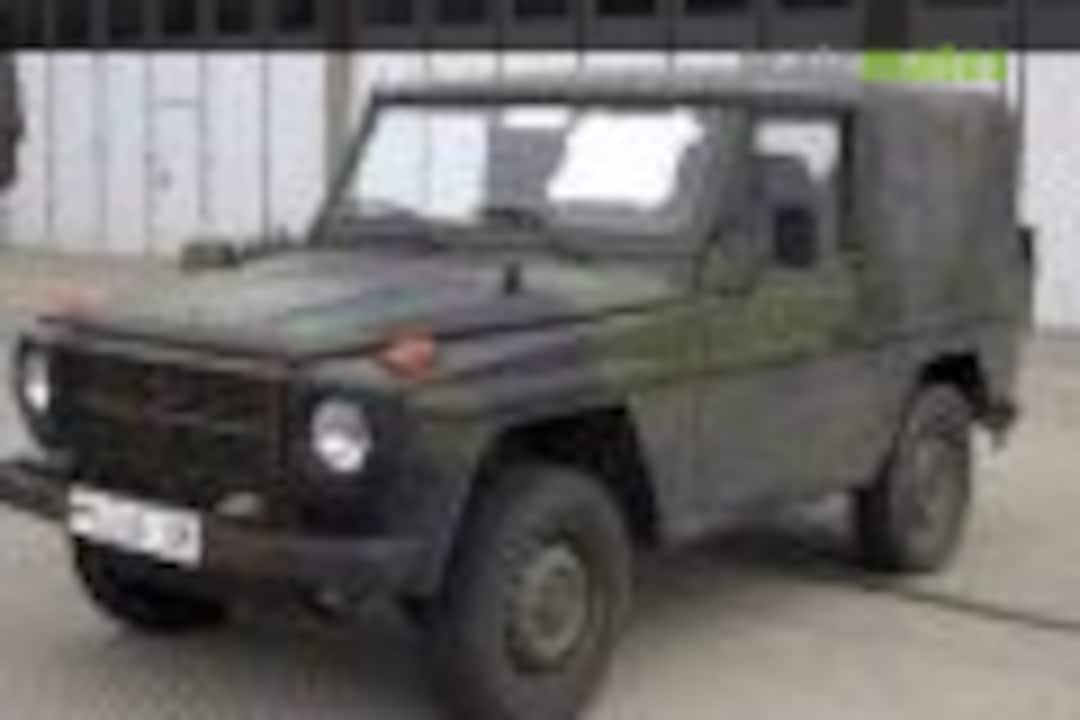 Mercedes Benz 250 GD, LKW, leicht, 0,5t Wolf -