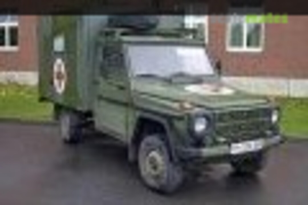 Mercedes Benz 250 GD